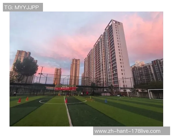 足球爱好者的激情与梦想探索球场内外的无限可能